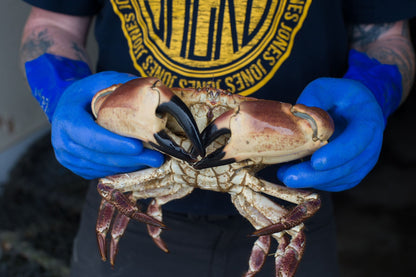 Summer Seafood Evening Friday 12th June
